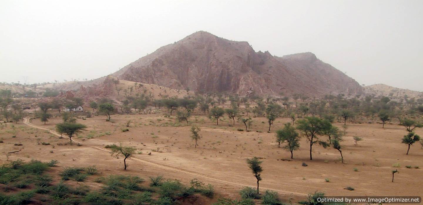 Delhi Quartzite Outcrop near Kaliyana, Haryana